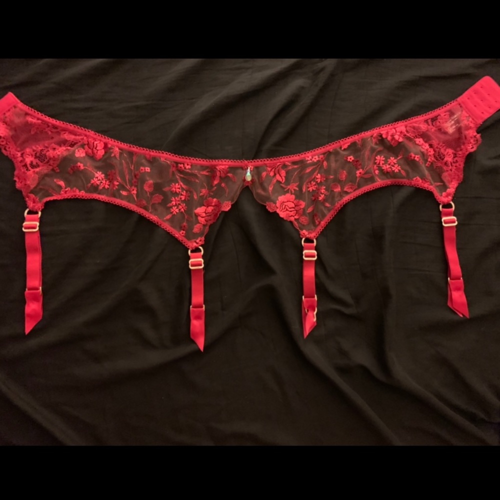L Honey Birdette Whitney garter belt in red